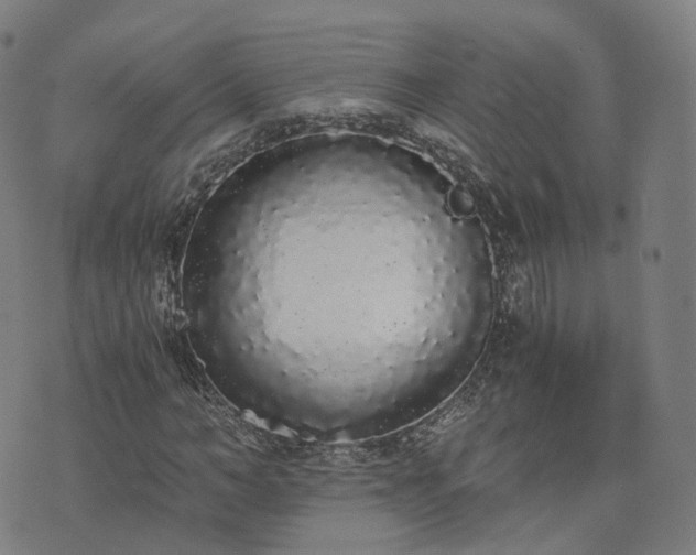 X0000076250966200610051216