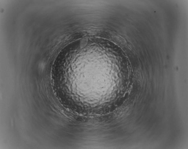 X0000076251009200610051215