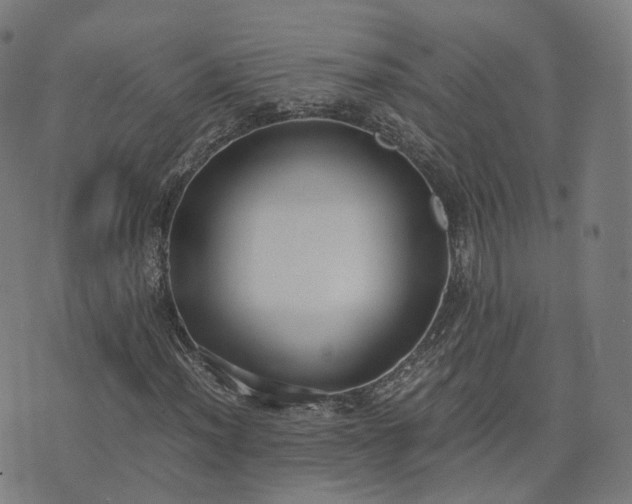 X0000076251012200610051215