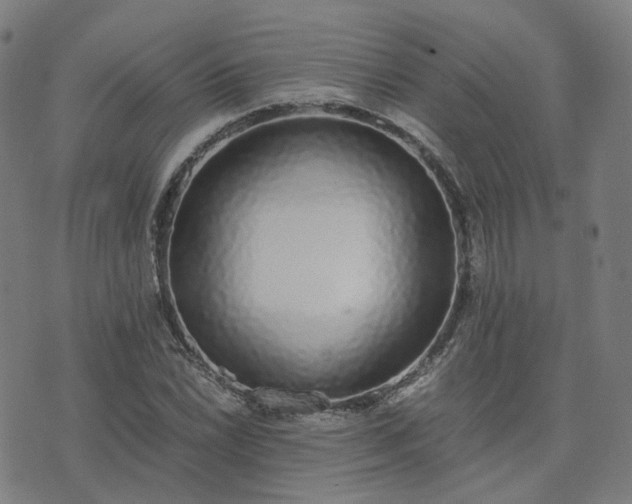 X0000076251022200610051215