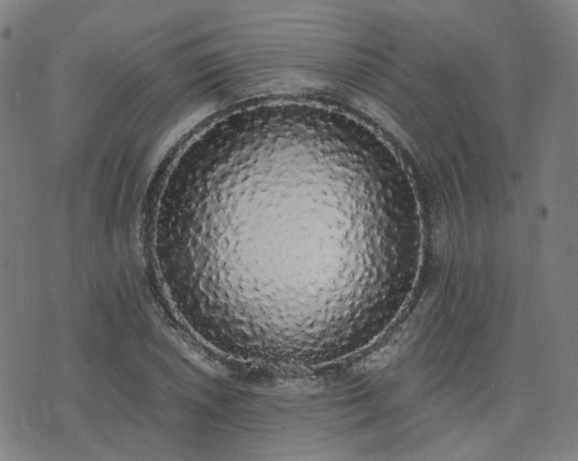 X0000076251026200610051215