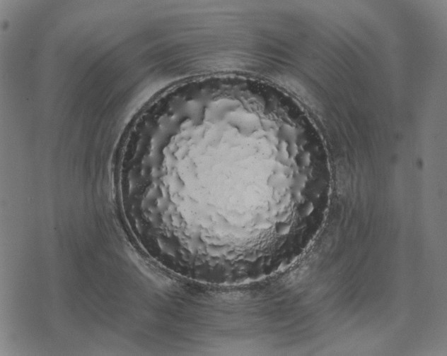 X0000076251031200610051215