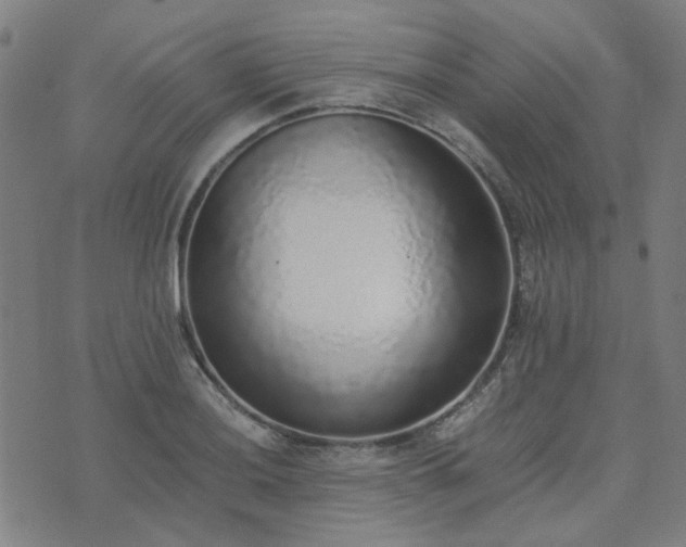 X0000076251036200610051215