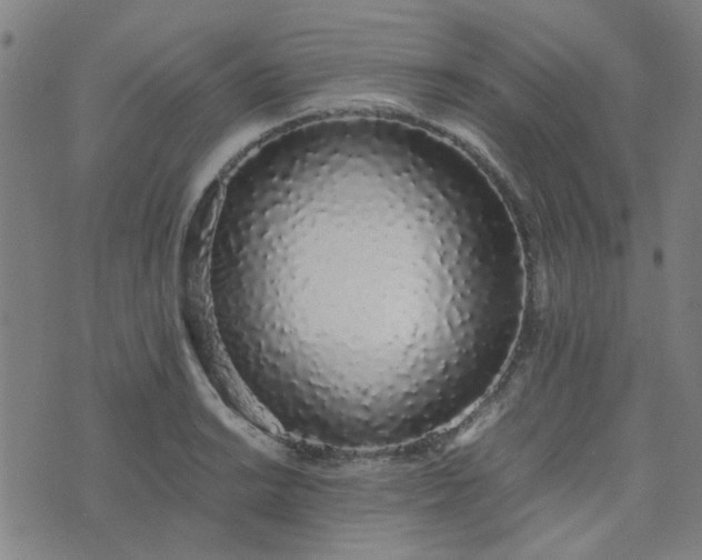 X0000076251038200610051215