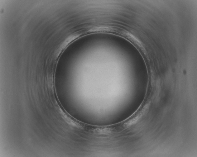 X0000076251041200610051215