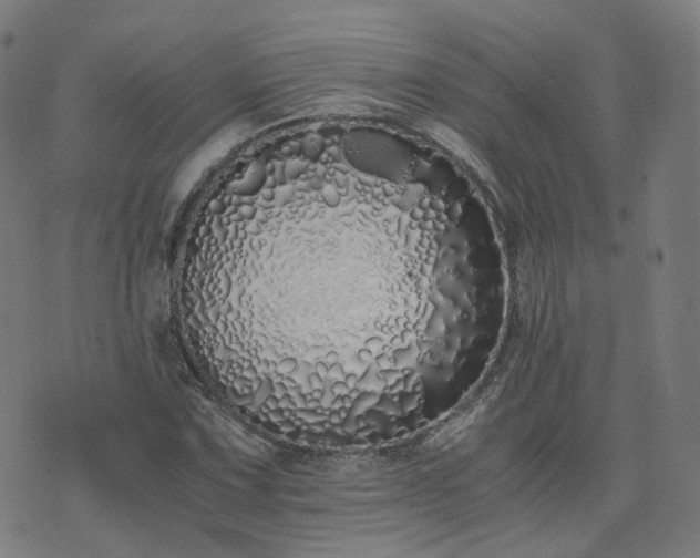 X0000076251067200610051214
