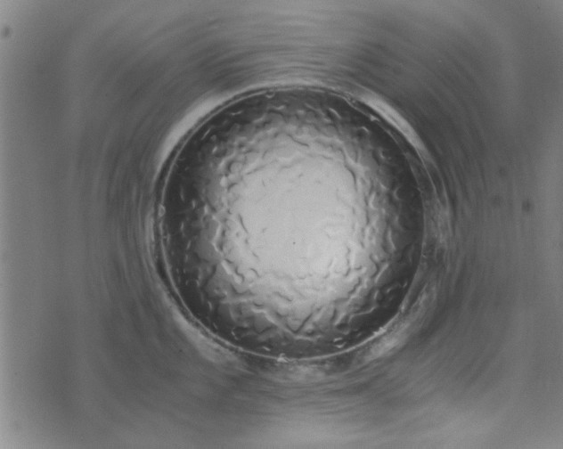 X0000076251101200610051214