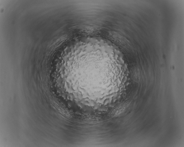 X0000076251105200610051213