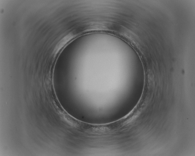 X0000076251129200610051213