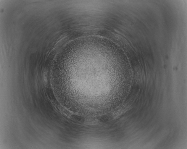 X0000076251154200610051213