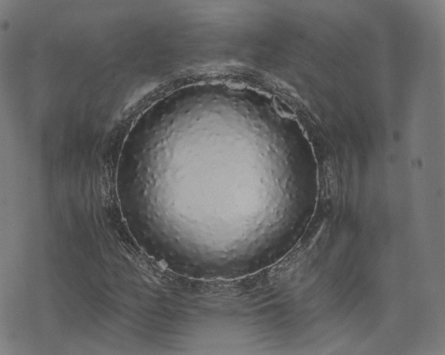 X0000076251158200610051213