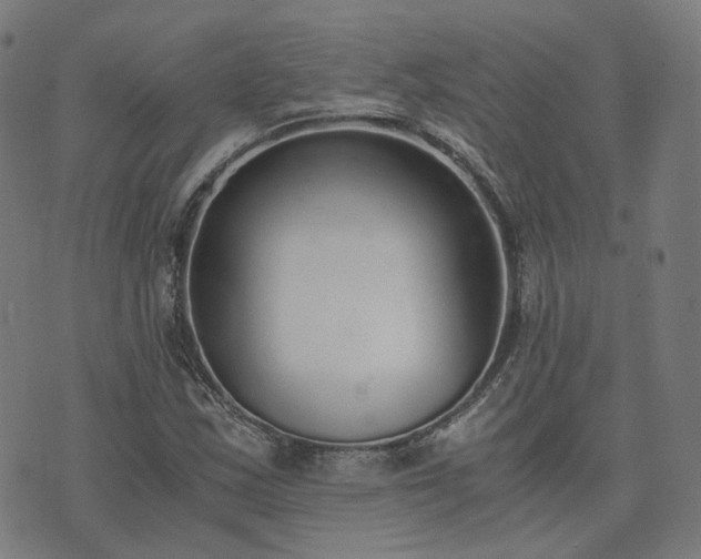 X0000076251163200610051213