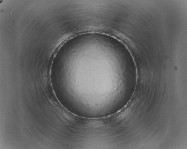 X0000076251170200610051213