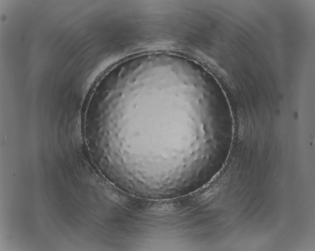 X0000076251174200610051213