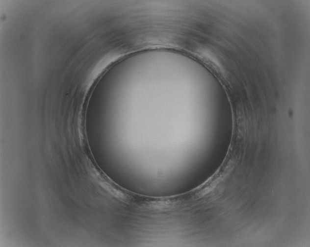 X0000076251182200610051213