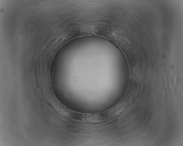 X0000076251201200610051211