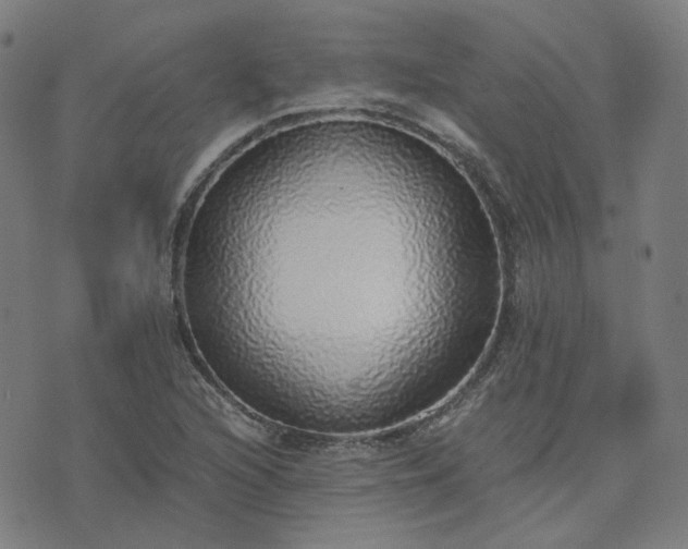 X0000076251216200610051212