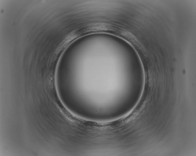 X0000076251225200610051212