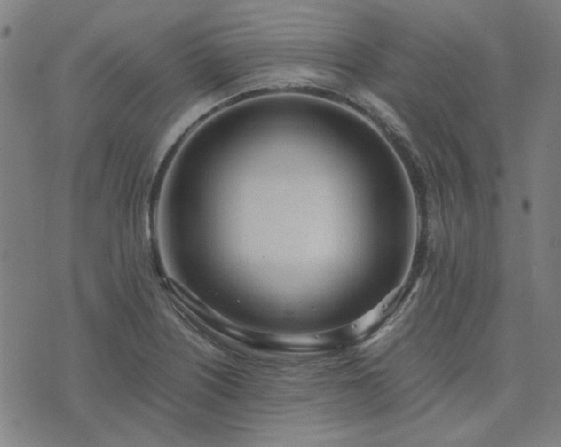 X0000076251226200610051212
