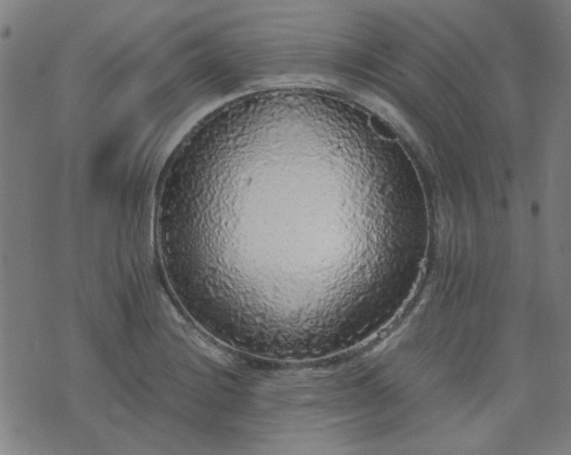 X0000076251228200610051212