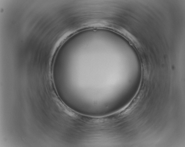 X0000076251240200610051212