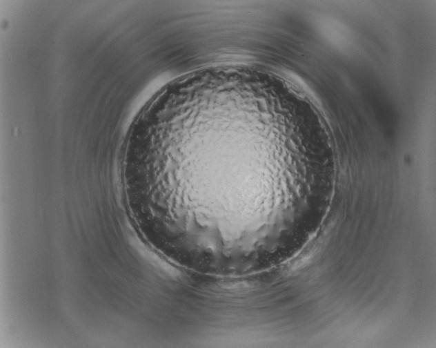 X0000076251243200610051212
