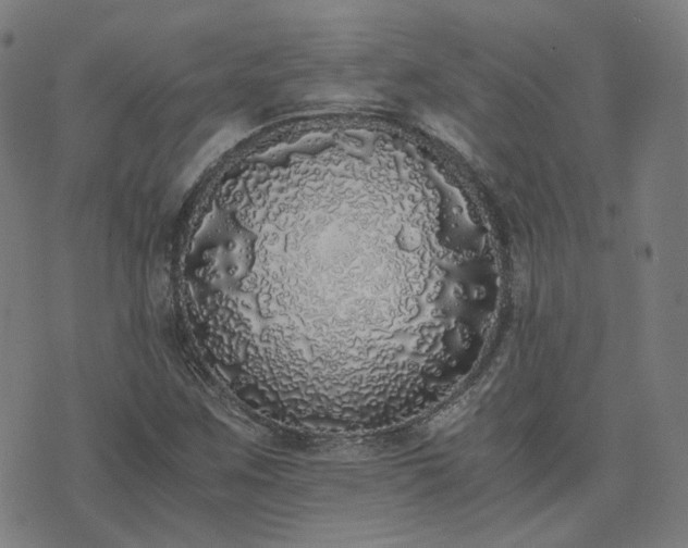 X0000076251259200610051211