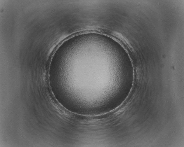 X0000076251260200610051211