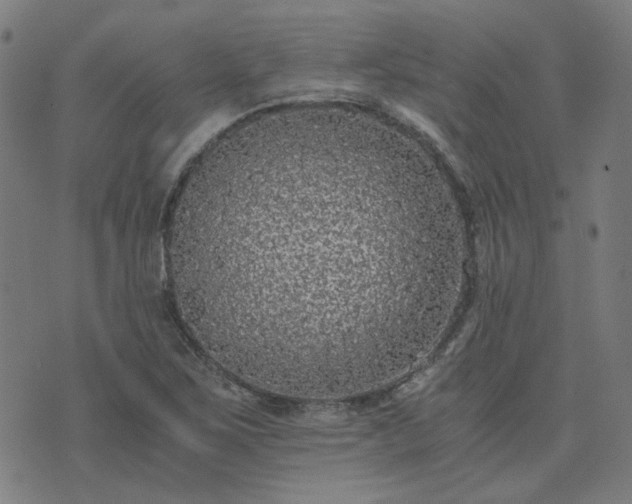 X0000076251267200610051211