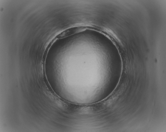 X0000076251268200610051211