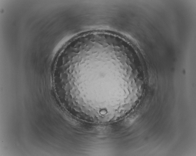 X0000076251271200610051211