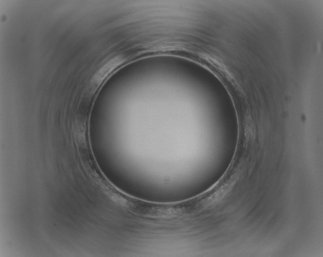 X0000076251273200610051211
