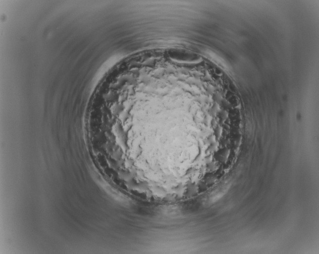 X0000076251283200610051211