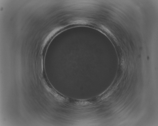 X0000076251323200610051210