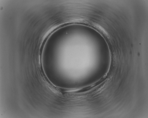 X0000076251324200610051210