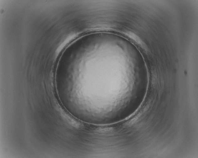 X0000076251325200610051210