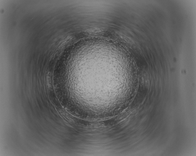 X0000076251346200610051210