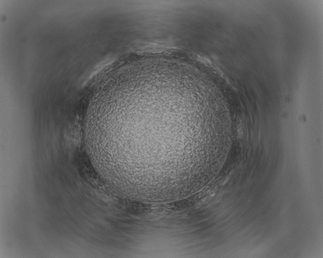 X0000076251350200610051210