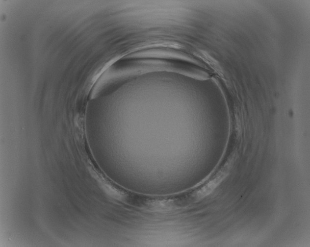 X0000076251369200610051209