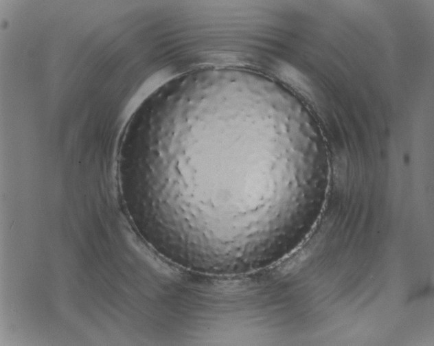 X0000076251378200610051209