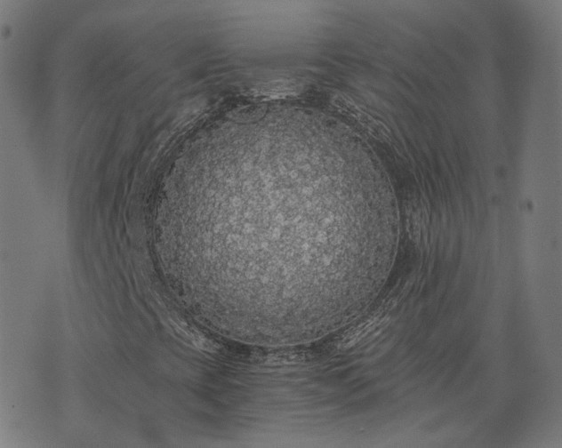 X0000076251393200610051208