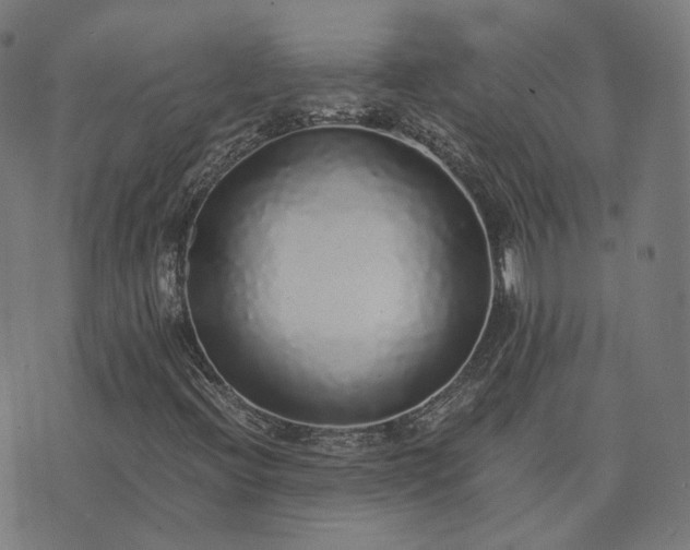X0000076251396200610051208