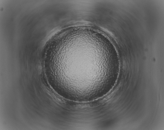 X0000076251407200610051209