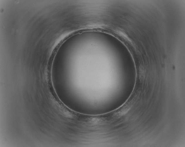 X0000076251412200610051209