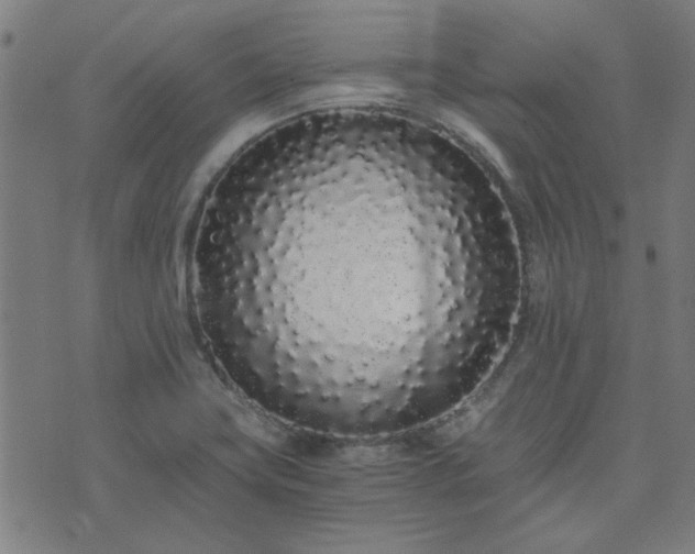 X0000076251419200610051209