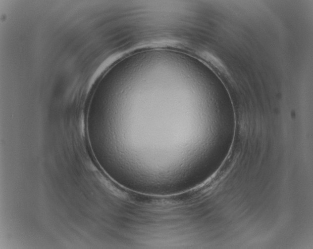 X0000076251420200610051209