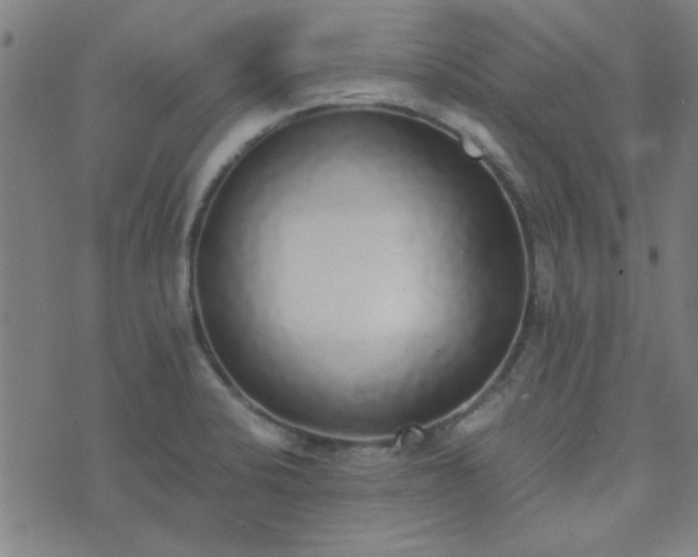 X0000076251424200610051209