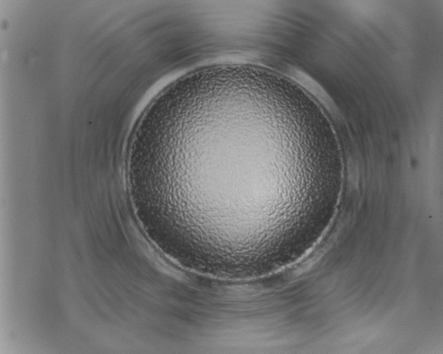 X0000076251436200610051209