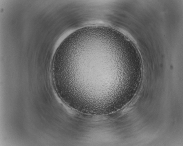 X0000076251440200610051209