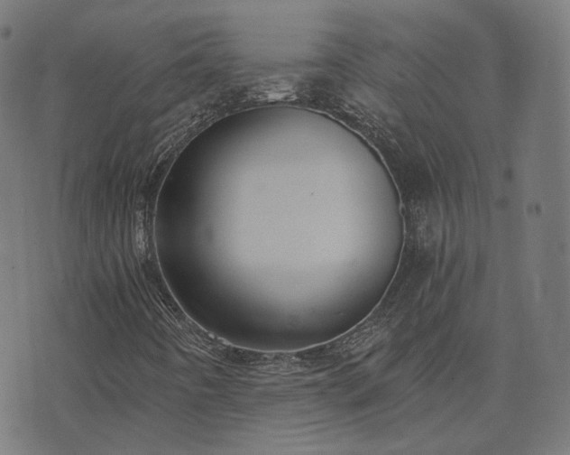 X0000076251442200610051208